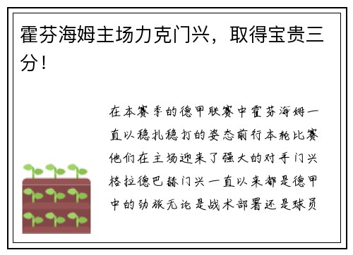 霍芬海姆主场力克门兴，取得宝贵三分！