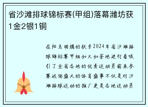 省沙滩排球锦标赛(甲组)落幕潍坊获1金2银1铜